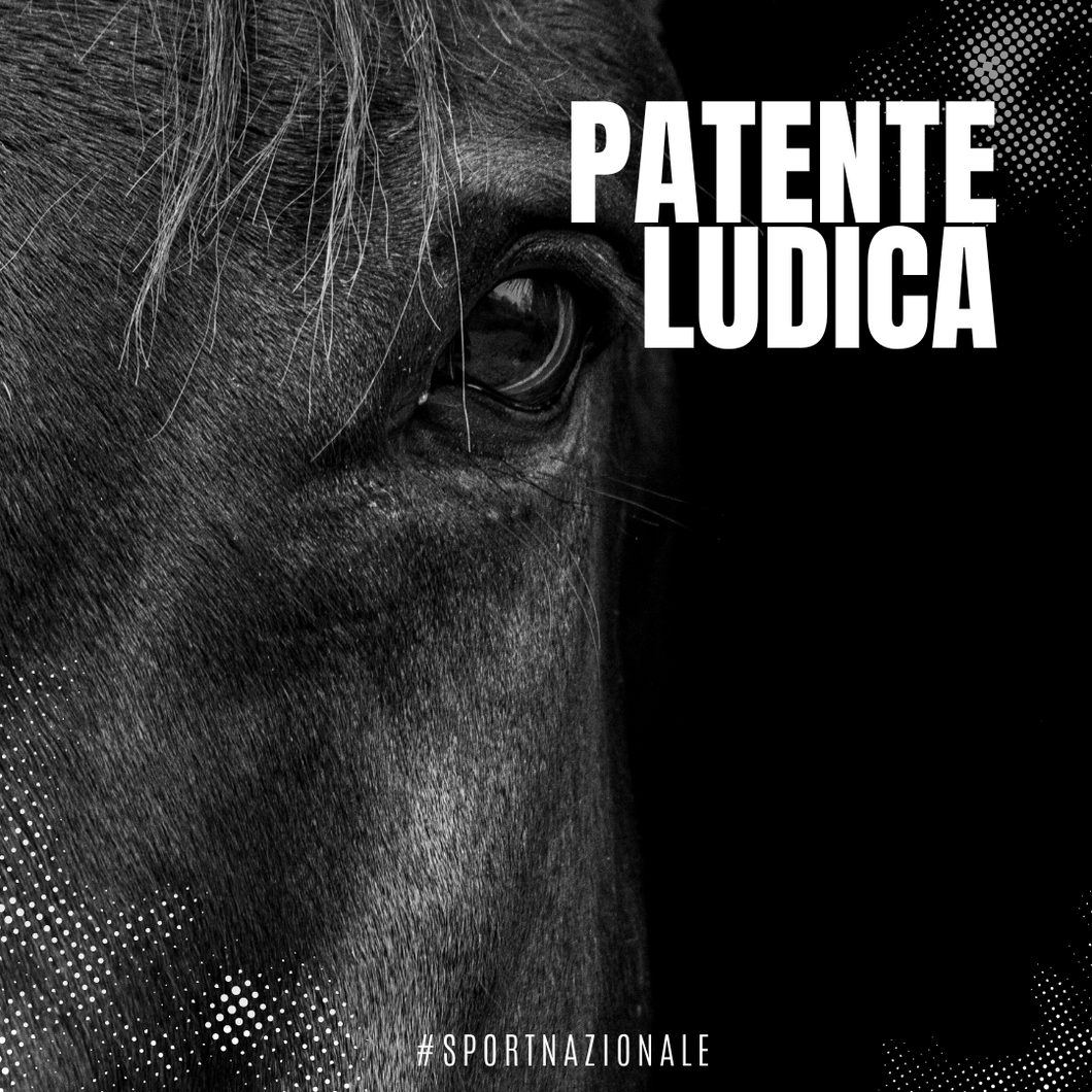 Patente Ludica